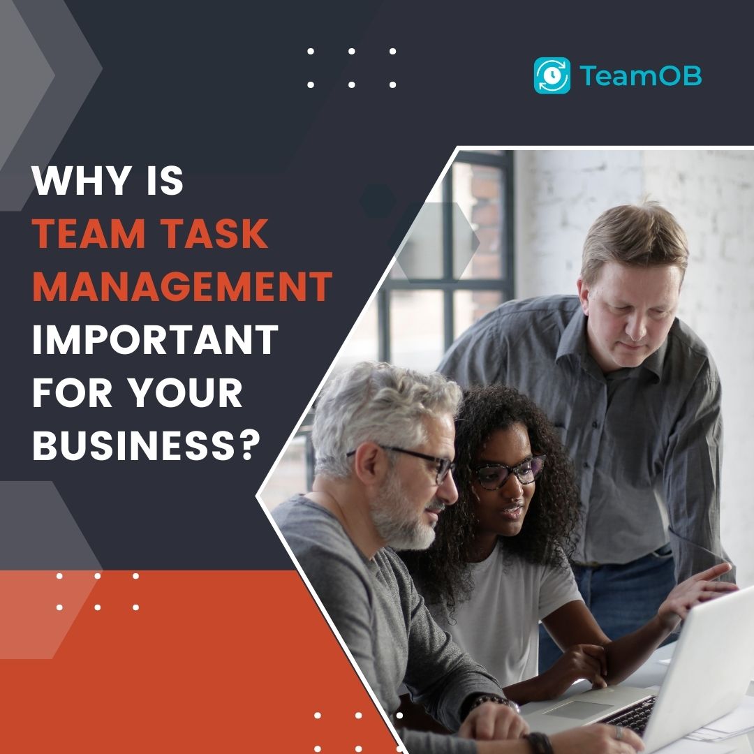 Why Is Team Task Management Important For Your Business?